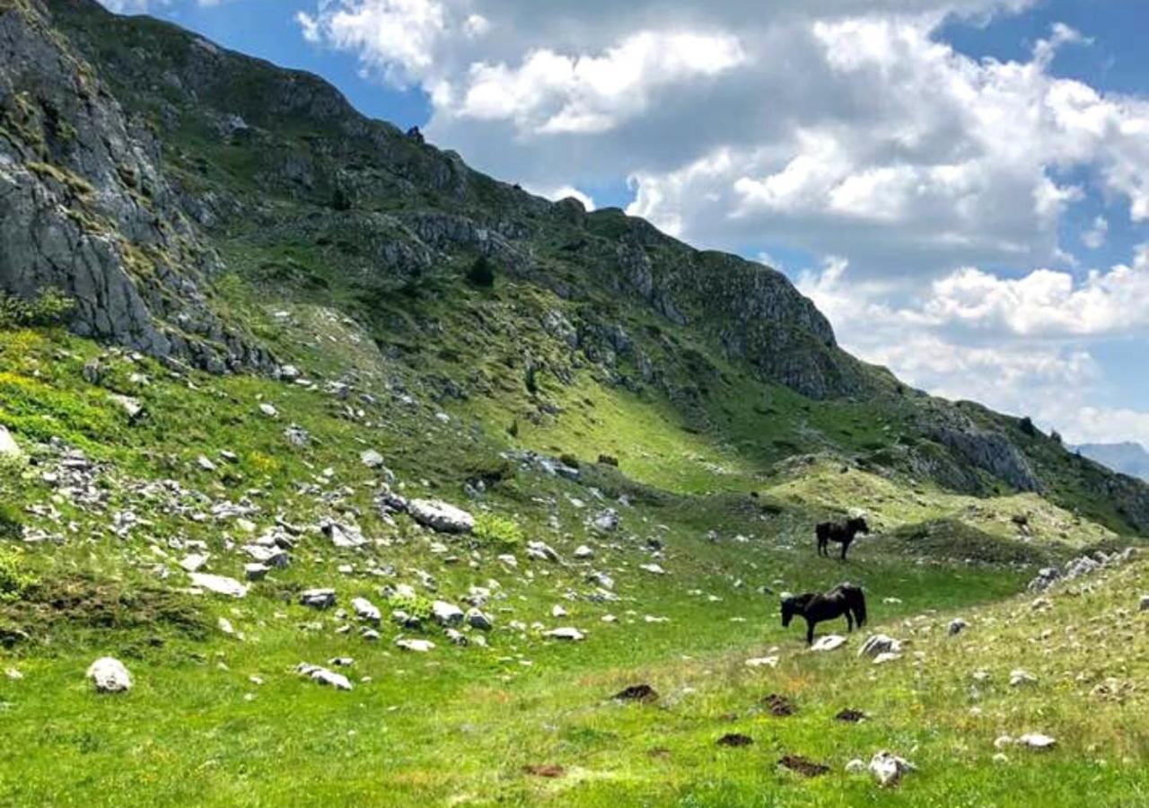 Ferienwohnung Katun Kuline Kolašin Exterior foto