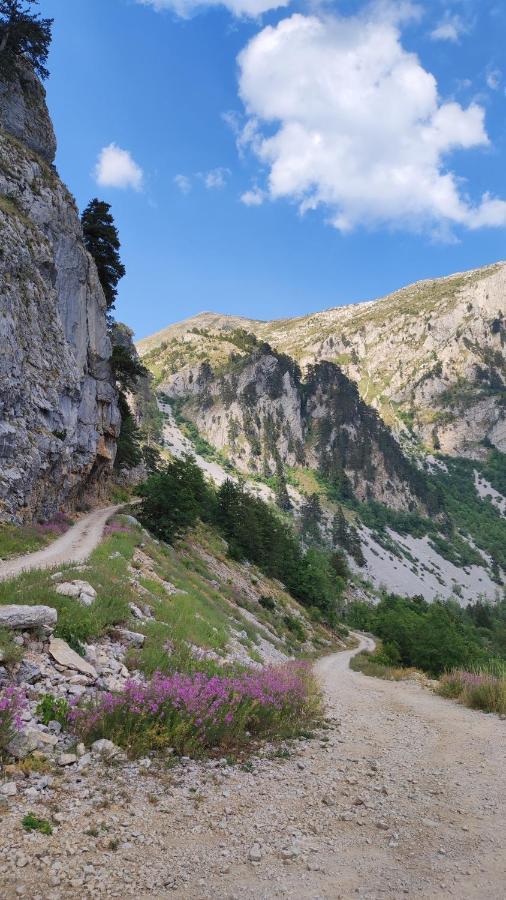 Ferienwohnung Katun Kuline Kolašin Exterior foto