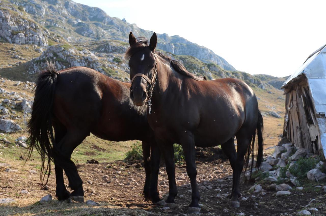 Ferienwohnung Katun Kuline Kolašin Exterior foto