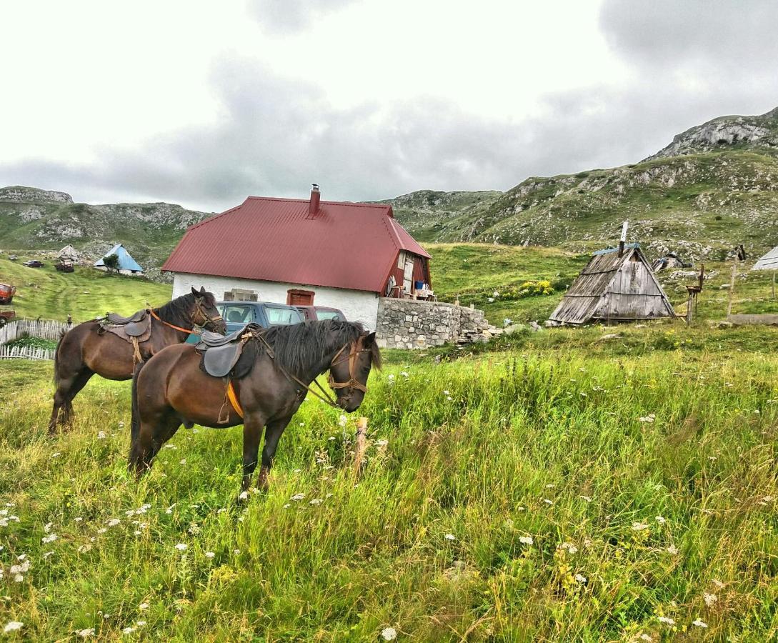 Ferienwohnung Katun Kuline Kolašin Exterior foto